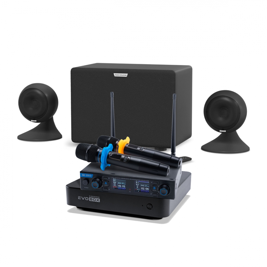 караоке-комплект EVOBOX + EvoSound Sphere 2.1 в Коврове