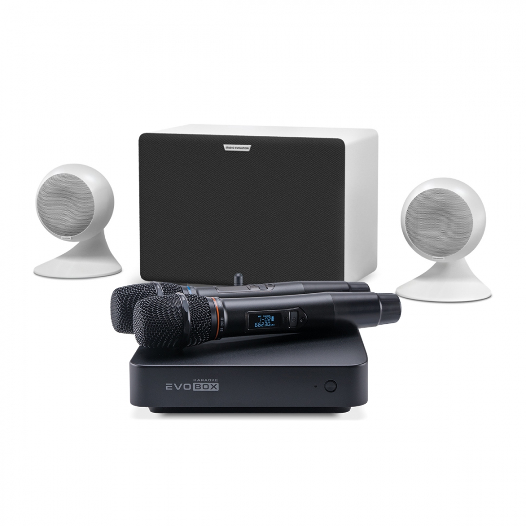 караоке-комплект EVOBOX Classic + EvoSound Sphere 2.1 в Коврове