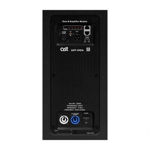 Активная акустическая система AST-310A в Коврове