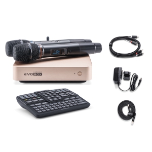 EVOBOX Classic караоке-система для дома в Коврове