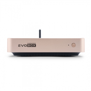 EVOBOX Plus караоке-система для дома в Коврове