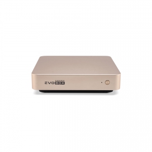 EVOBOX с микрофонами в Коврове